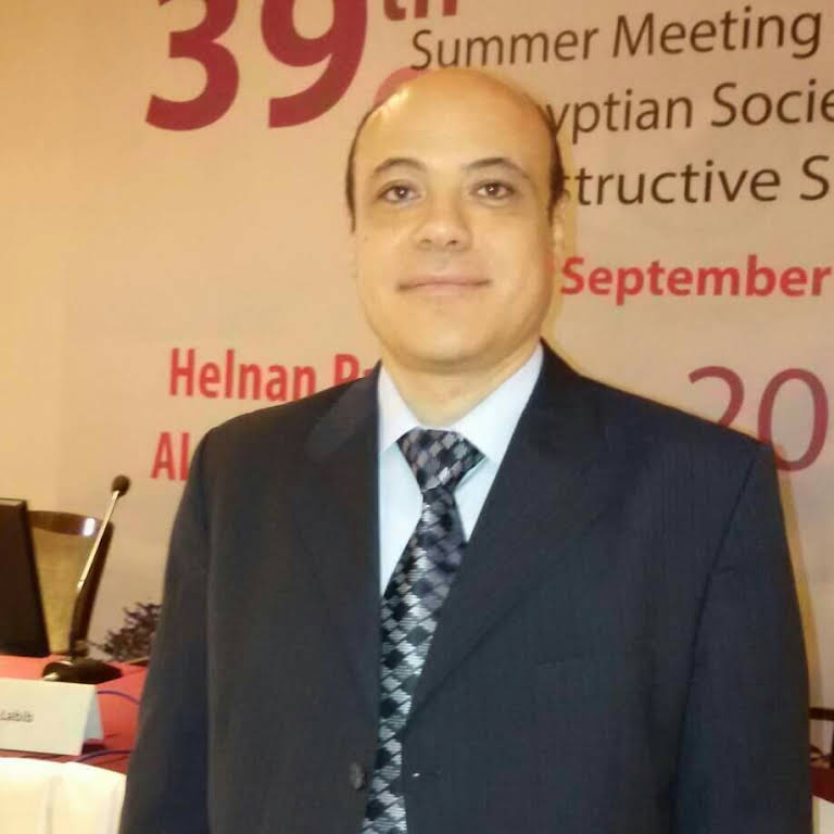 Dr. Alaa N. Elsadek